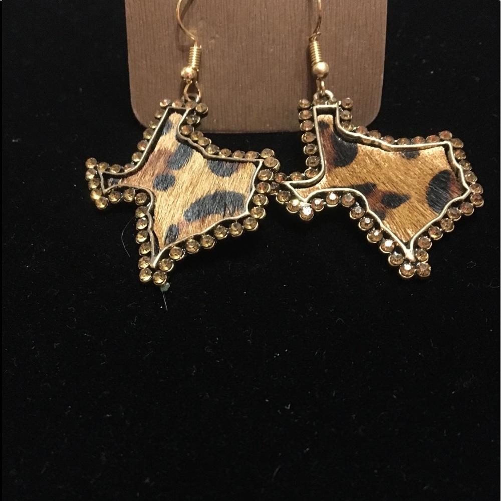 Texas Earrings